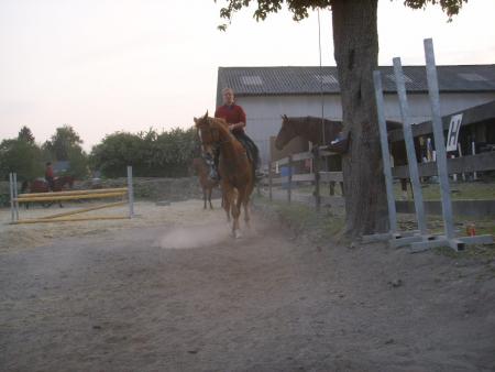 Dressage : Skipy