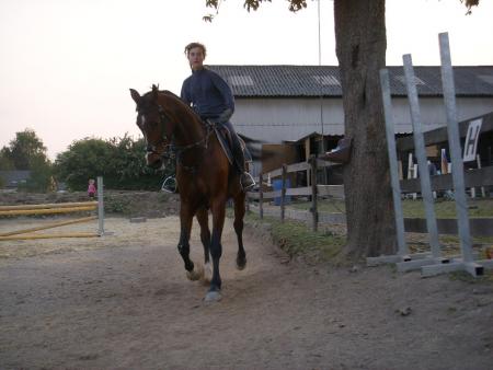 Dressage : Numa