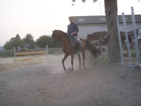 Dressage : Sirmo