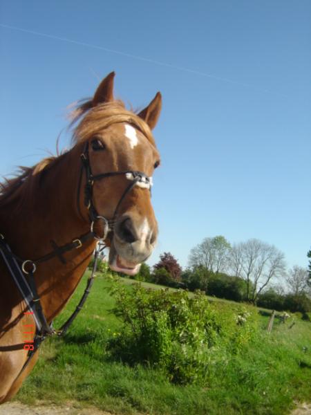Balade : Alouette