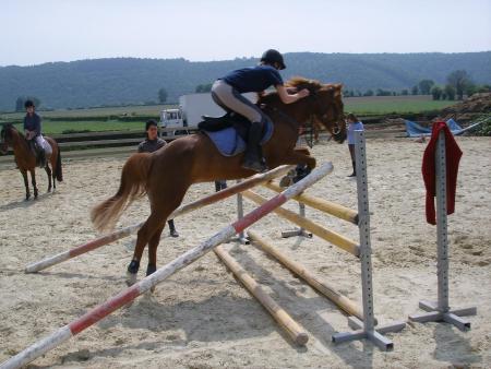 Alouette